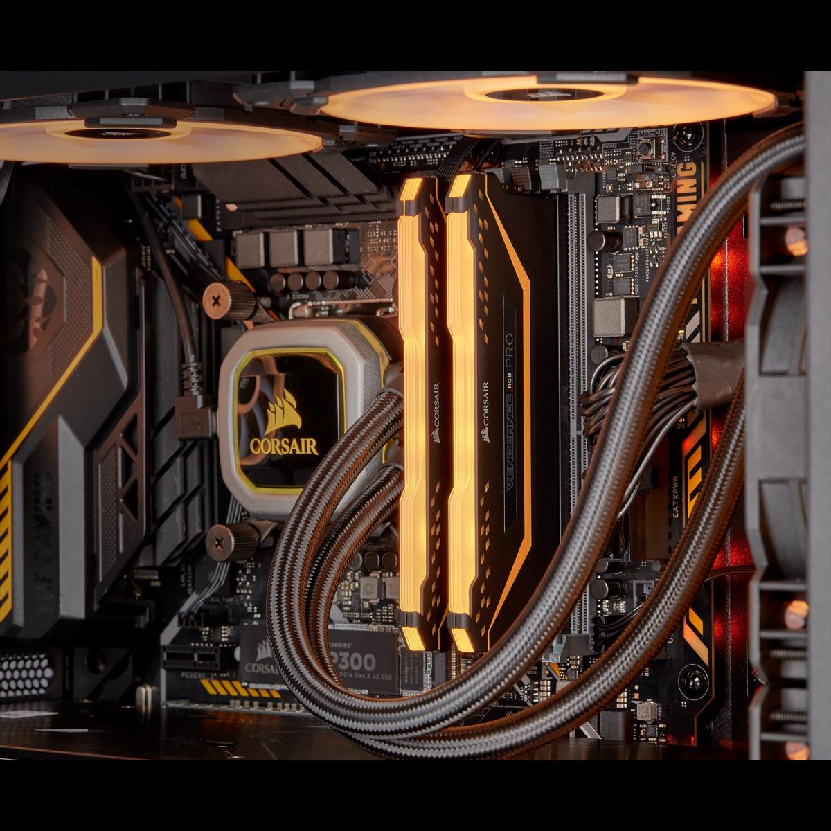 Купить CORSAIR Vengeance RGB PRO - TUF Gaming Edition - DDR4 - 16GB: 2 x 8GB - DIMM 288-PIN - 3200 MHz / PC4-25600 - CL16 - non-ECC - Schwarz (CMW16GX4M2C3200C16-TUF) в магазине wardena.ru