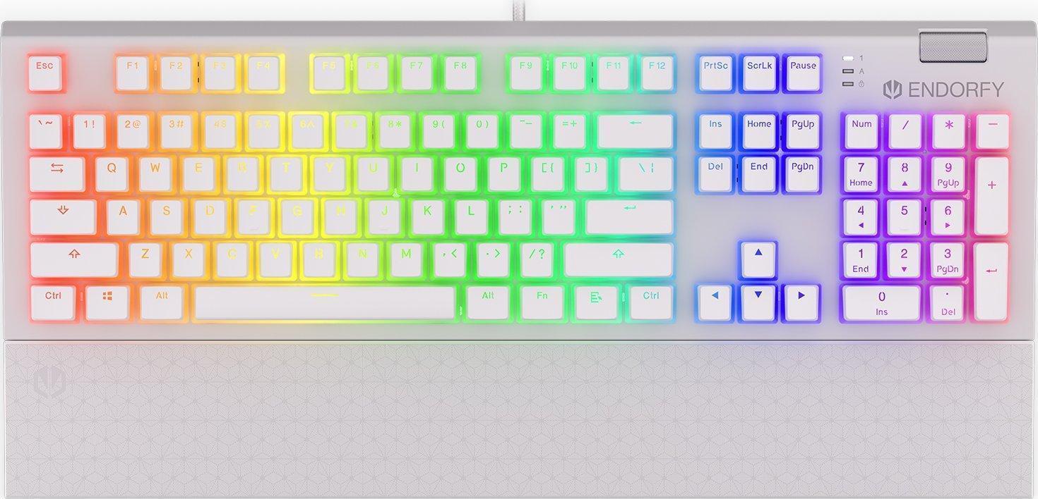 Купить ENDORFY Omnis Pudding Onyx Tastatur USB QWERTY Englisch Weiß (EY5A035) в магазине wardena.ru