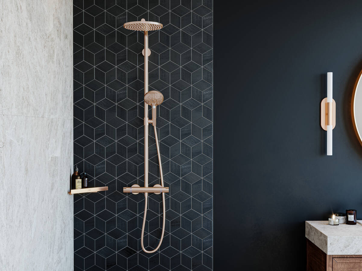 Купить Hansgrohe AddStoris Угловая корзинка белый матовый 41741700 в магазине wardena.ru