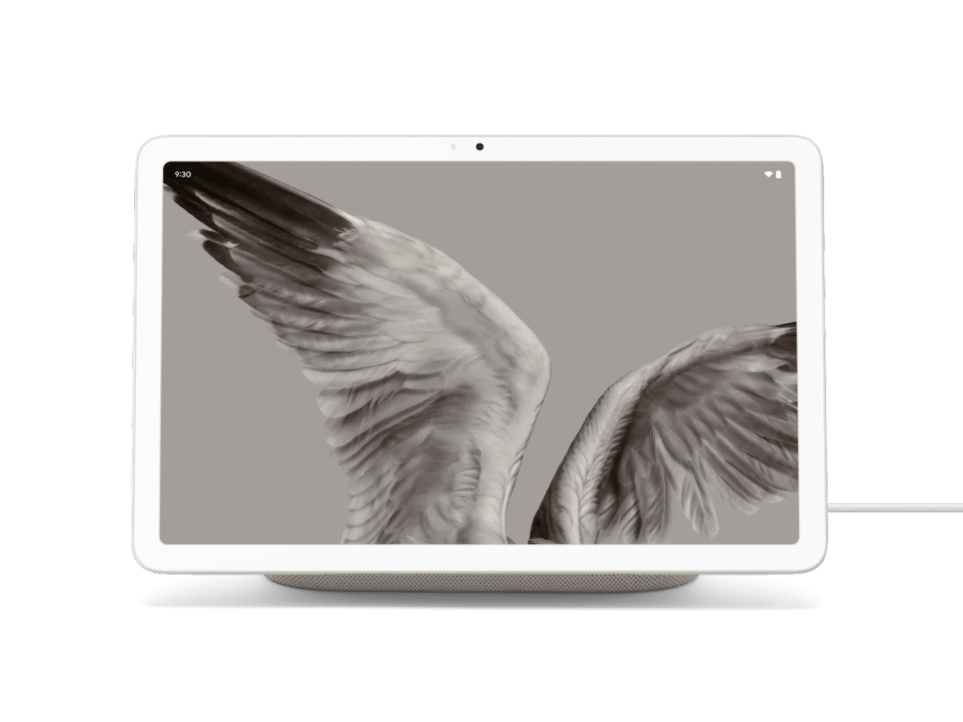 Купить Google Pixel - Tablet - Android - 256 GB UFS card - 27.8 cm (10.95") (2560 x 1600) - Porzellan (GA06157-EU) в магазине wardena.ru