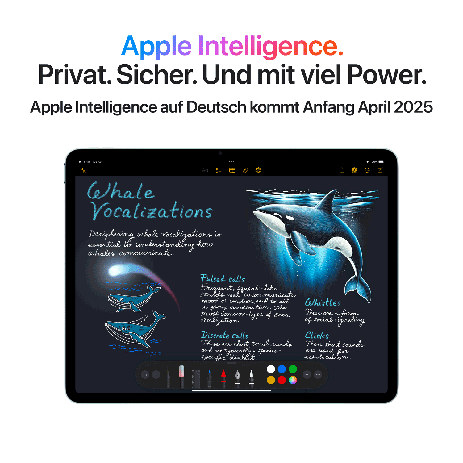 Купить Apple iPad Air 11 M3 Wi-Fi + Cellular 128GB (spacegrau) (MCFV4TY/A) в магазине wardena.ru