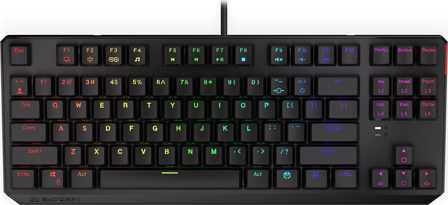 Купить GAMING-TASTATUR ENDORFY THOCK TKL KAILH BL RGB (EY5A001) в магазине wardena.ru