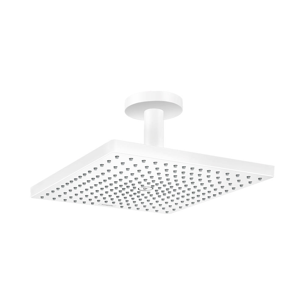 Купить Hansgrohe Raindance E Верхний душ 300 1jet с потолочным подсоединением золото 26250990 в магазине wardena.ru
